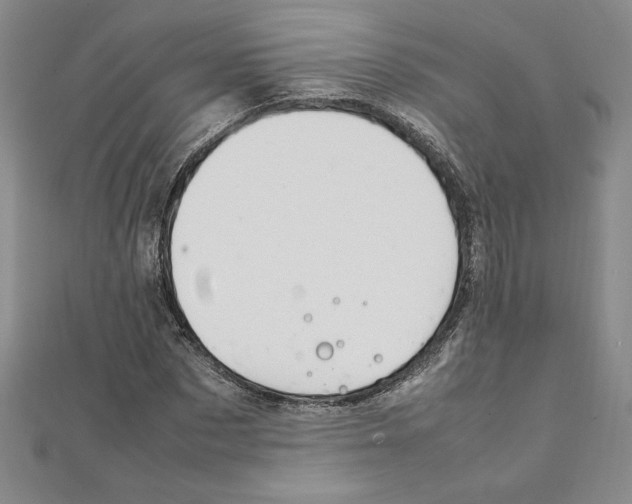 X0000111210873200907291249