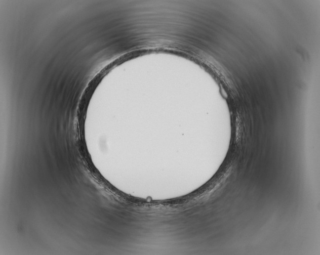 X0000111210876200907291249