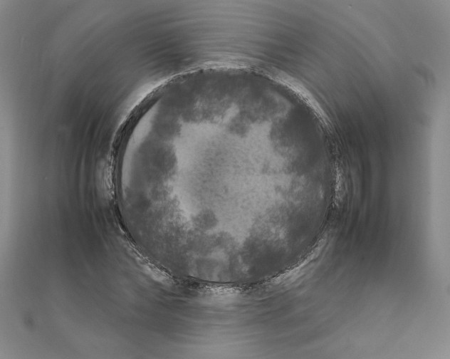 X0000111210878200907291249