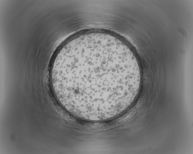 X0000111210879200907291249