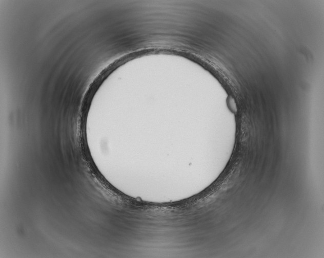 X0000111210880200907291249