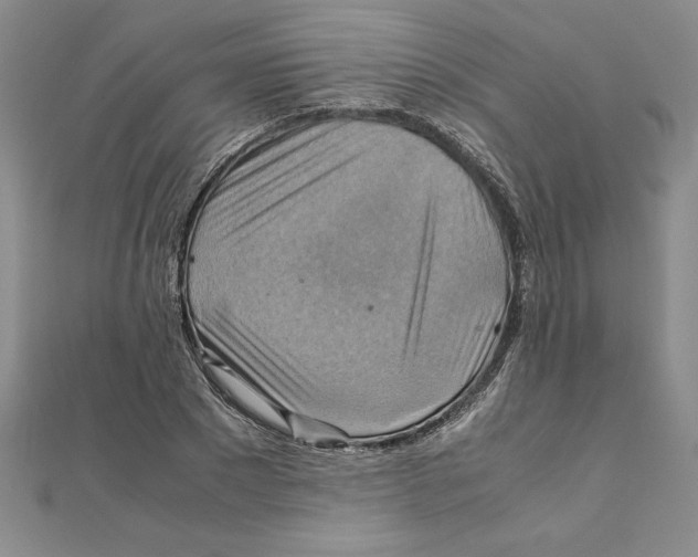 X0000111210881200907291249