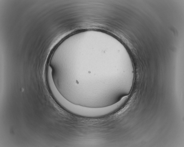 X0000111210885200907291249