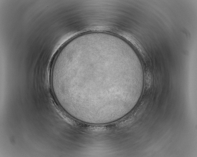 X0000111210886200907291249