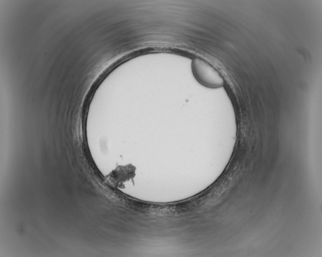 X0000111210887200907291249