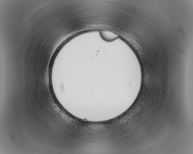 X0000111210888200907291249