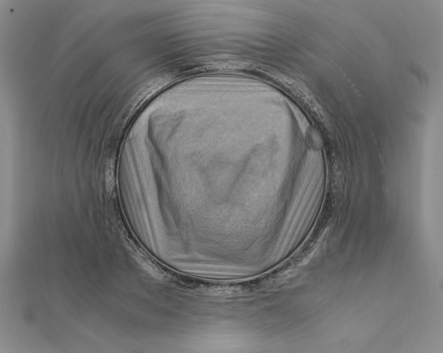 X0000111210889200907291249