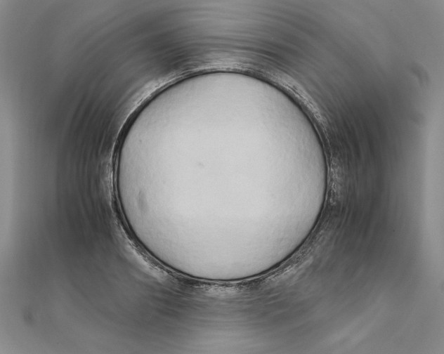 X0000111210890200907291249