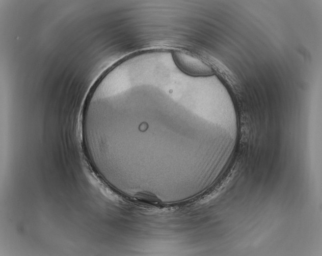 X0000111210892200907291249