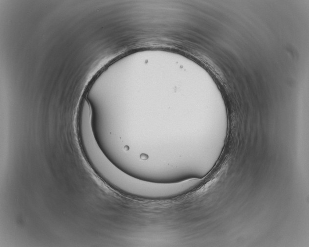 X0000111210893200907291249