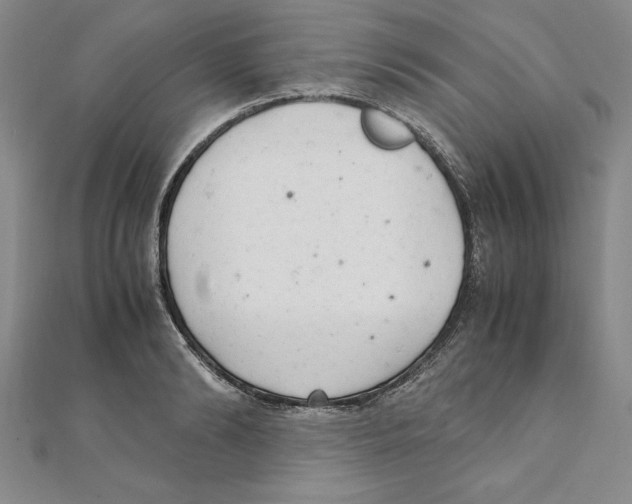 X0000111210894200907291249