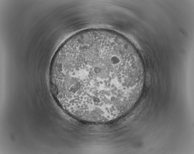 X0000111210895200907291249