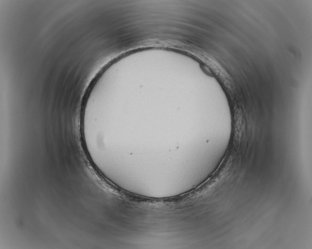 X0000111210896200907291249