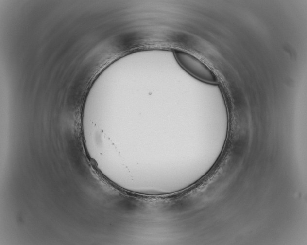 X0000111210897200907291249