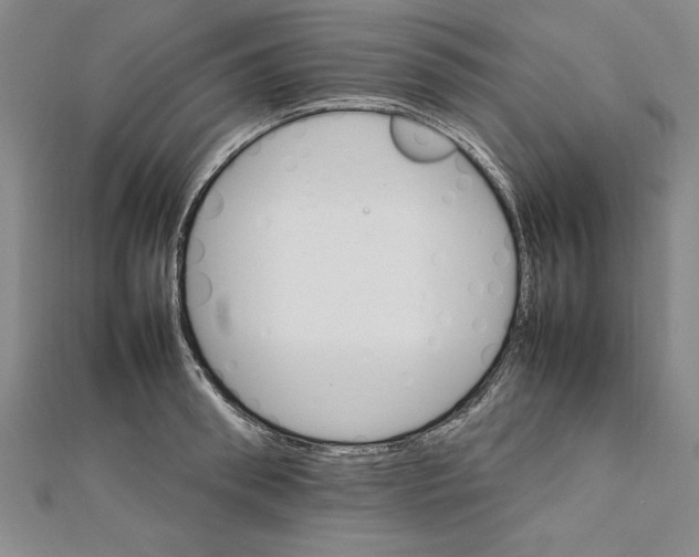 X0000111210898200907291249