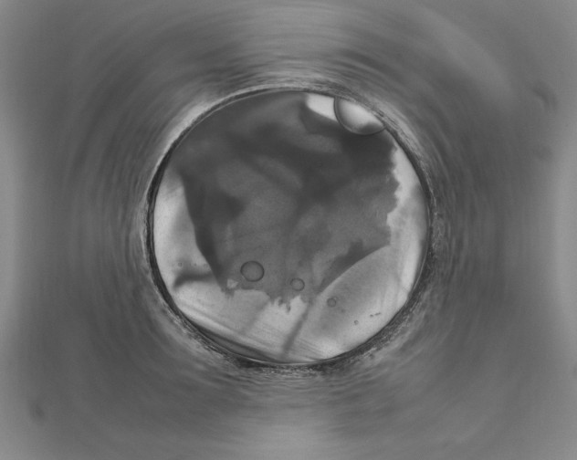 X0000111210899200907291249