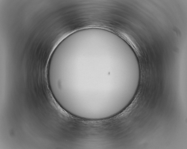 X0000111210900200907291249