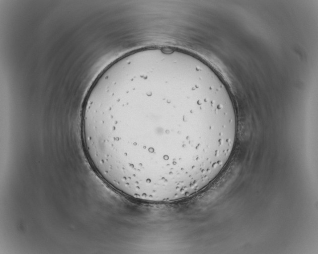 X0000111210903200907291249