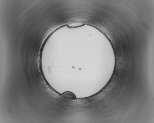 X0000111210904200907291249