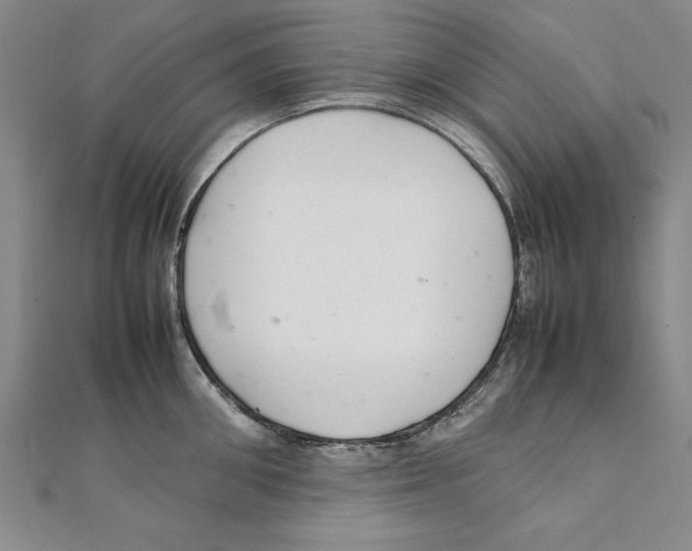 X0000111210906200907291249