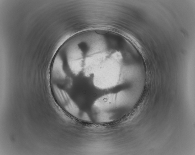 X0000111210907200907291249