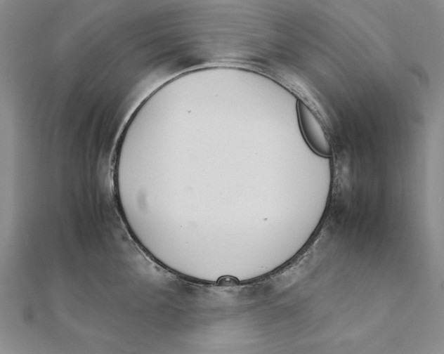 X0000111210908200907291249