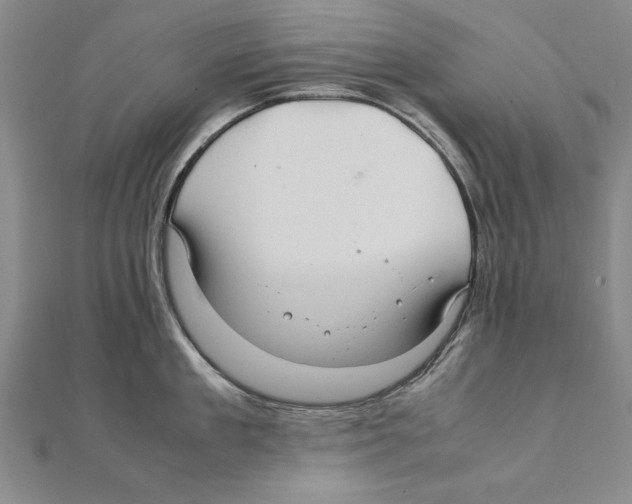 X0000111210909200907291249