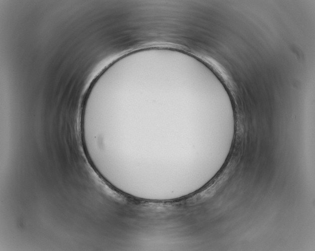 X0000111210910200907291248