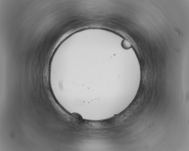 X0000111210911200907291248