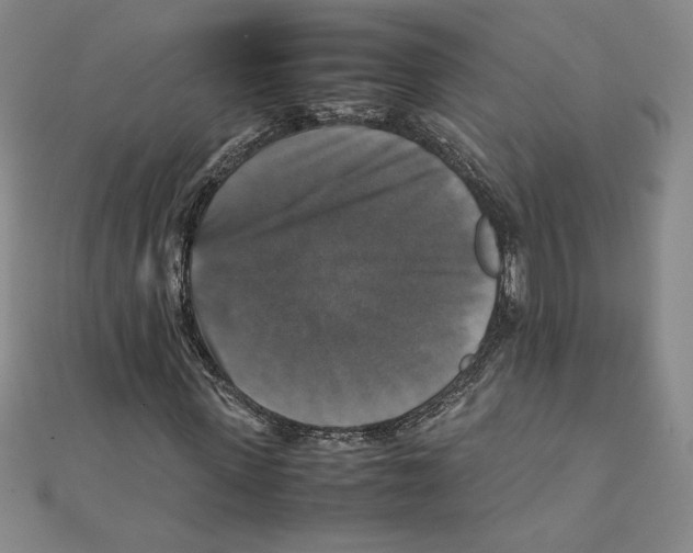 X0000111210915200907291248