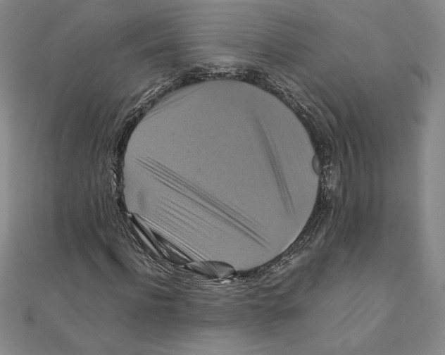 X0000111210916200907291248