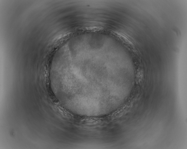 X0000111210917200907291248