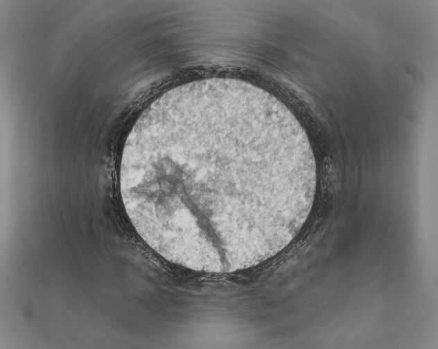 X0000111210918200907291248