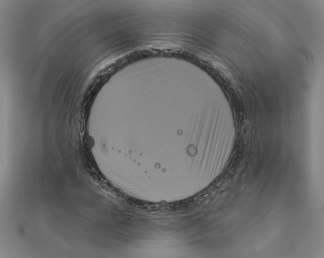 X0000111210920200907291248