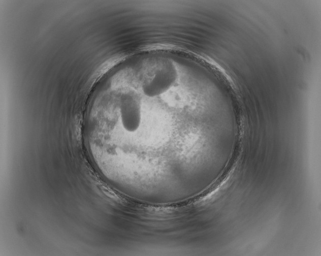 X0000111210921200907291248