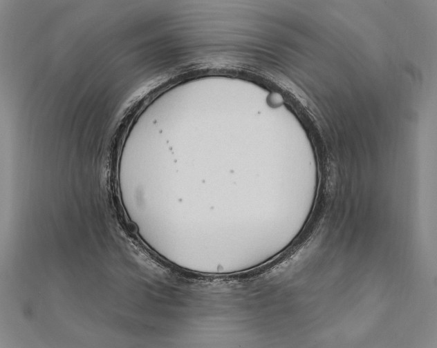 X0000111210922200907291248