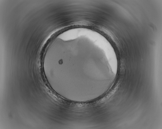 X0000111210923200907291248