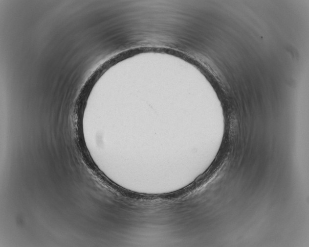 X0000111210926200907291248