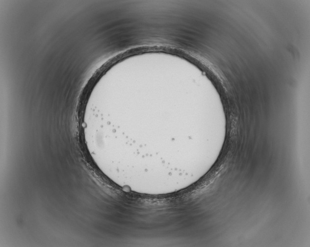 X0000111210927200907291248