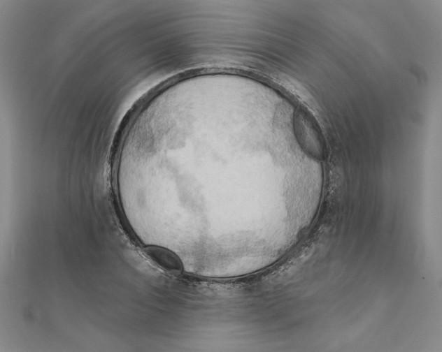 X0000111210928200907291248