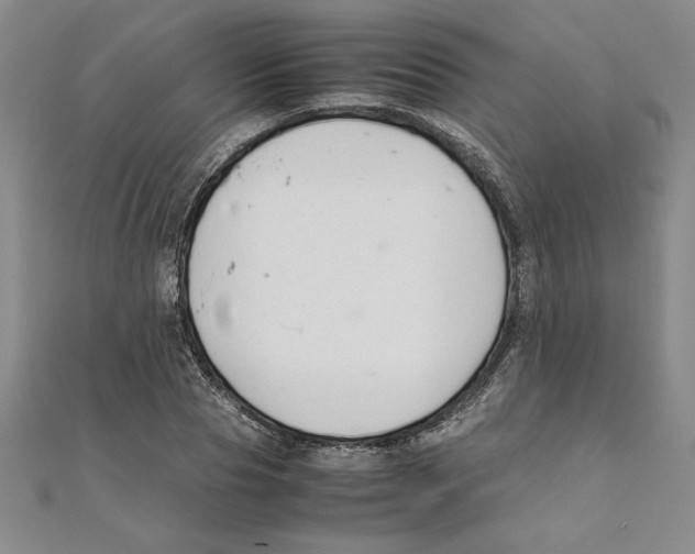 X0000111210929200907291248