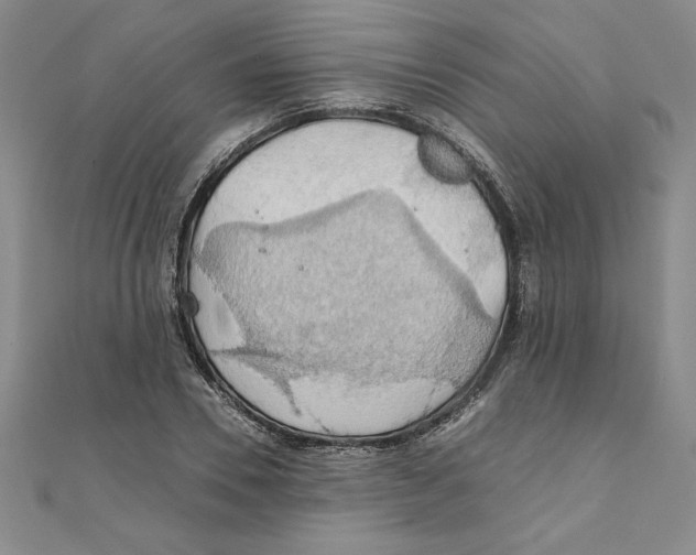 X0000111210930200907291248