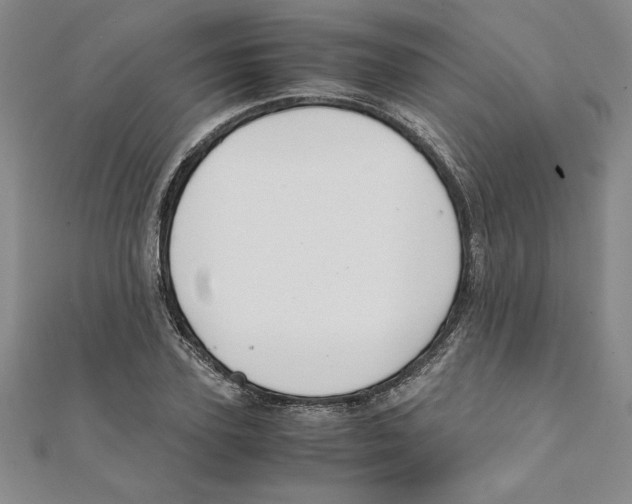 X0000111210931200907291248