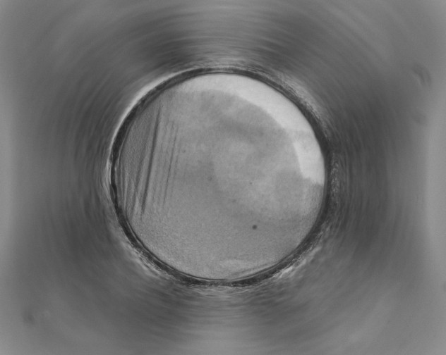 X0000111210932200907291248