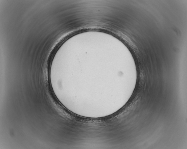 X0000111210934200907291248