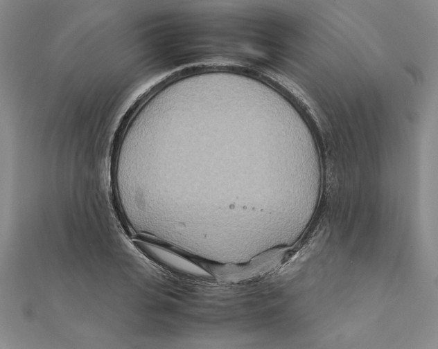 X0000111210935200907291248