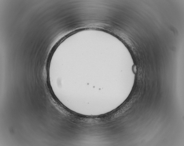 X0000111210936200907291248