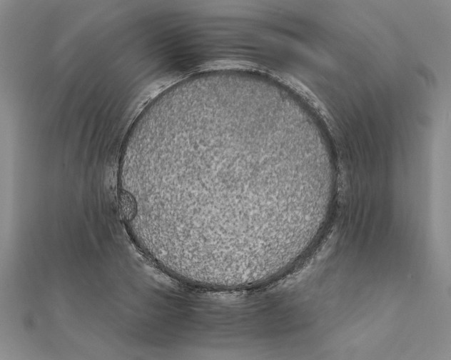 X0000111210937200907291248