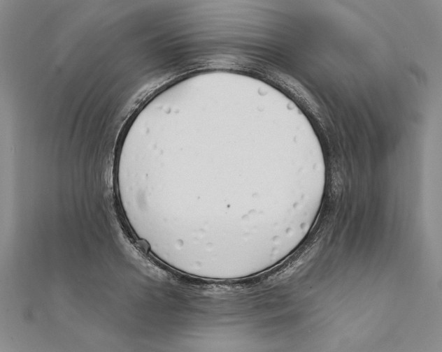 X0000111210938200907291248