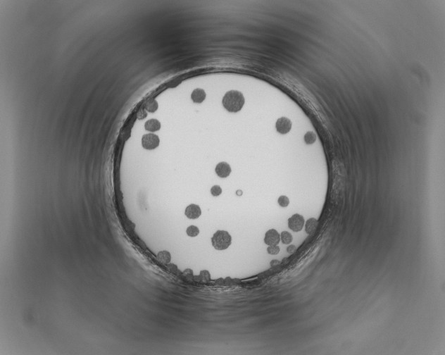 X0000111210939200907291248